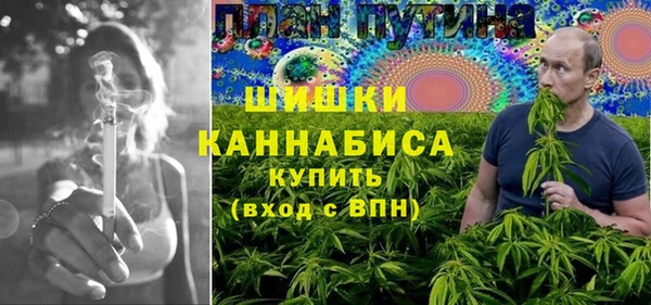 стаф Алзамай
