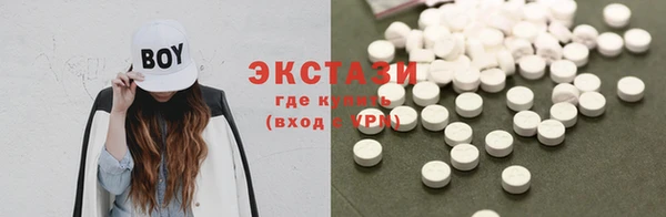 стаф Алзамай