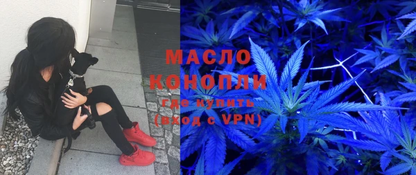 гидра Абаза