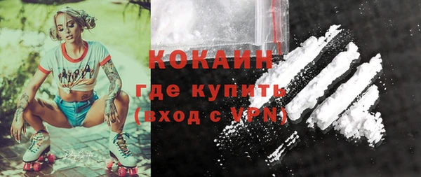 стаф Алзамай