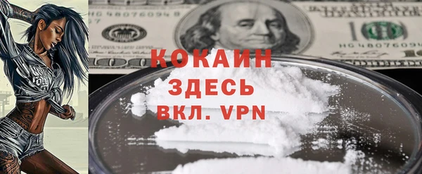 стаф Алзамай