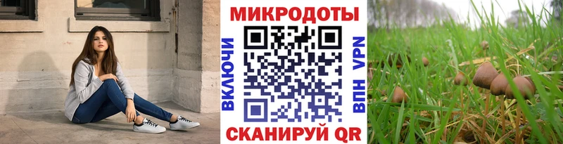 Галлюциногенные грибы Psilocybine cubensis  Тольятти 